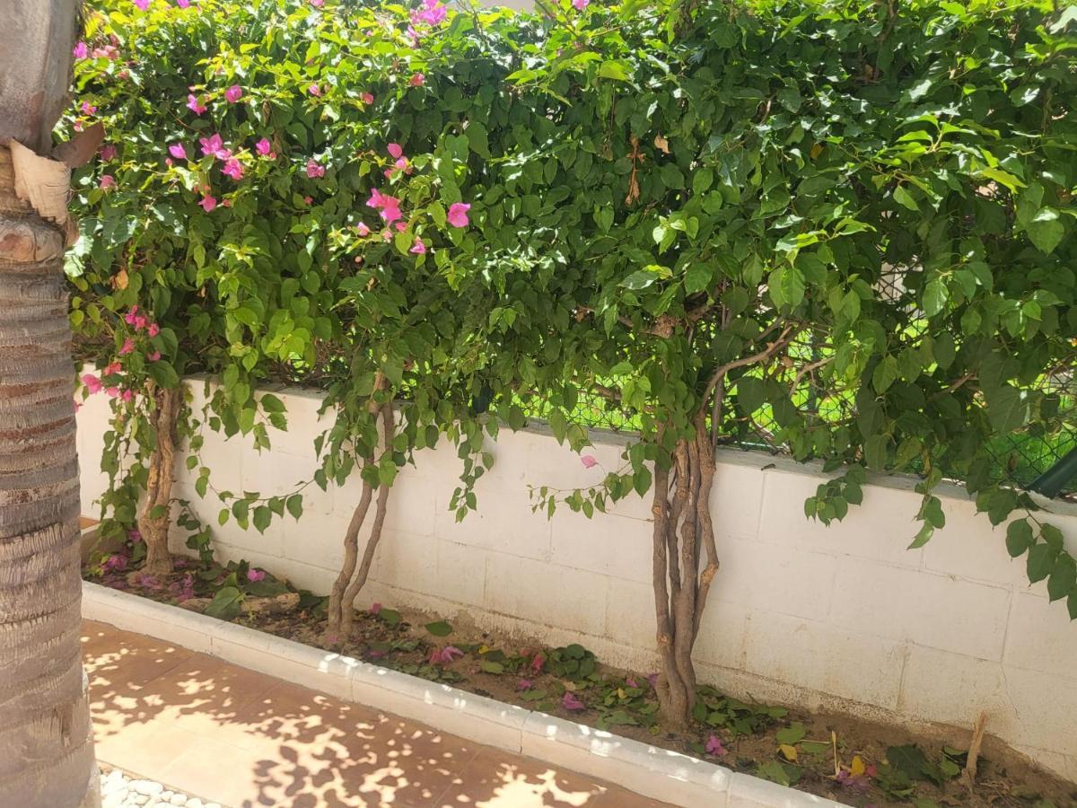 ¡Bajo precioso con salida directa a la piscina comunitaria en Paraíso de Vera! Exterior foto